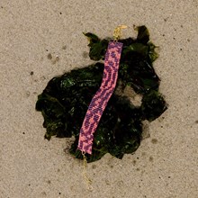 Coral Choker II